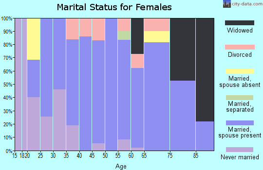 Zip code 04253 marital status for females