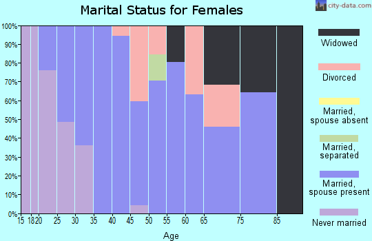 Zip code 04259 marital status for females