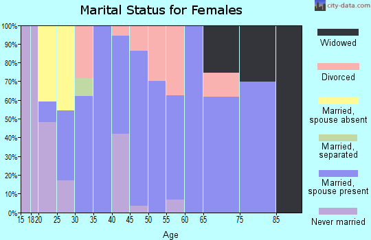 Zip code 04260 marital status for females