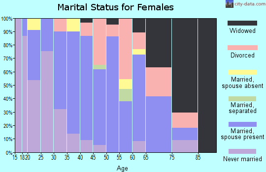 Zip code 04263 marital status for females