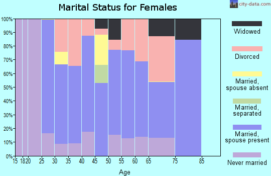 Zip code 04274 marital status for females