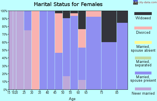 Zip code 04275 marital status for females
