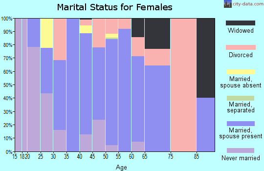 Zip code 04287 marital status for females