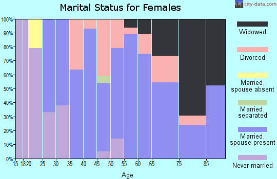 Zip code 04290 marital status for females