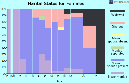 Zip code 04349 marital status for females