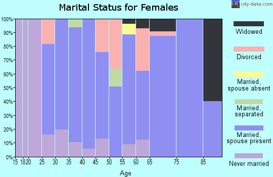 Zip code 04355 marital status for females