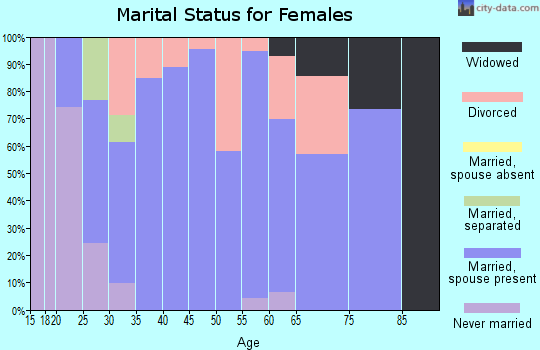 Zip code 04358 marital status for females
