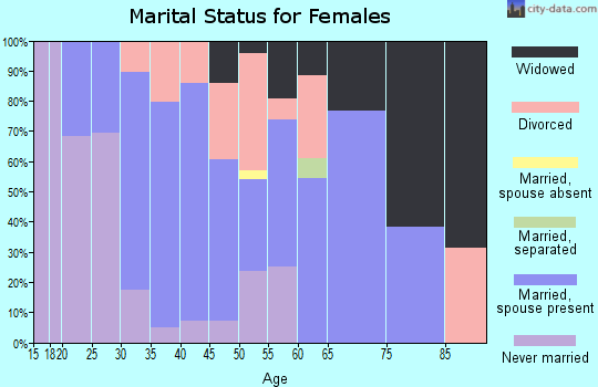 Zip code 04363 marital status for females
