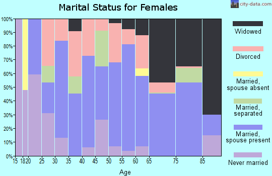 Zip code 04463 marital status for females