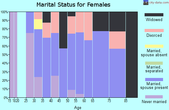 Zip code 04464 marital status for females