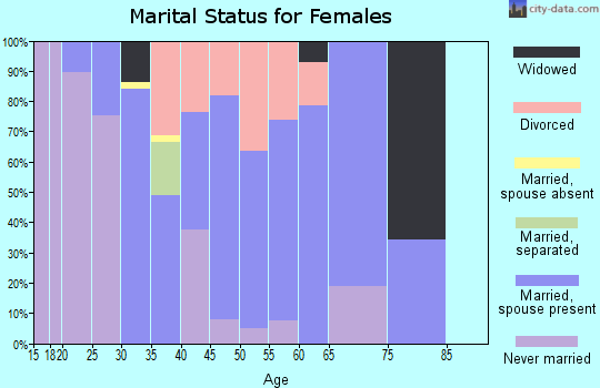 Zip code 04496 marital status for females