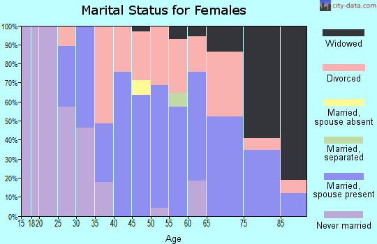 Zip code 04538 marital status for females
