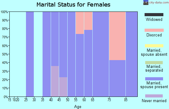 Zip code 04539 marital status for females