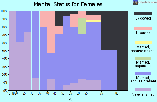 Zip code 04606 marital status for females