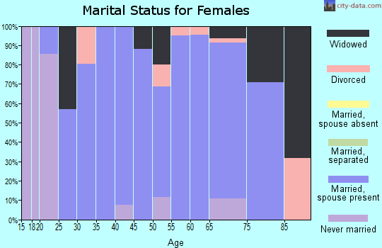 Zip code 04607 marital status for females