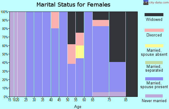 Zip code 04611 marital status for females