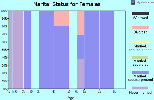 Zip code 04615 marital status for females