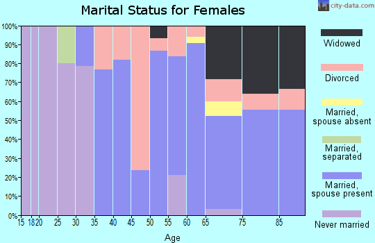 Zip code 04616 marital status for females