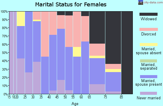 Zip code 04619 marital status for females