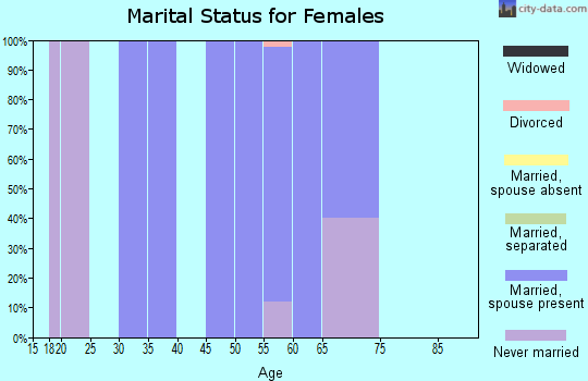 Zip code 04675 marital status for females
