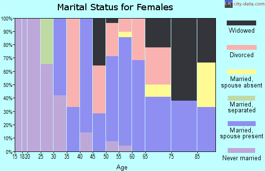 Zip code 04739 marital status for females