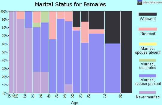 Zip code 04740 marital status for females