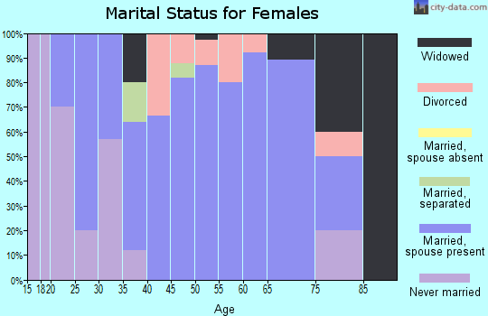 Zip code 04780 marital status for females