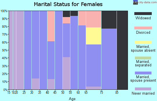 Zip code 04787 marital status for females
