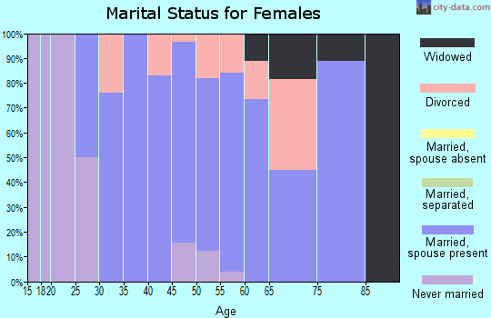 Zip code 04847 marital status for females