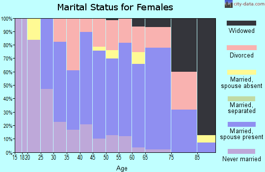Zip code 04849 marital status for females