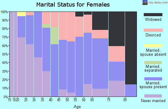 Zip code 04941 marital status for females