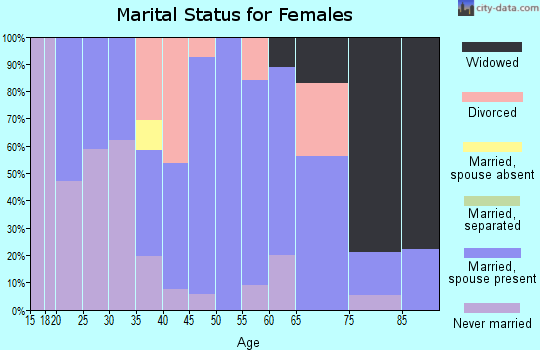 Zip code 04969 marital status for females