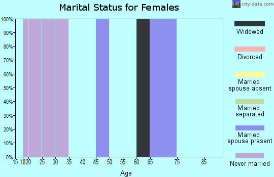 Zip code 05260 marital status for females