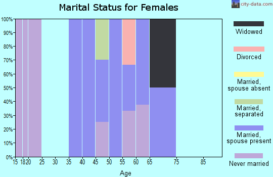 Zip code 05358 marital status for females