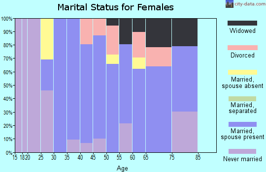 Zip code 06063 marital status for females