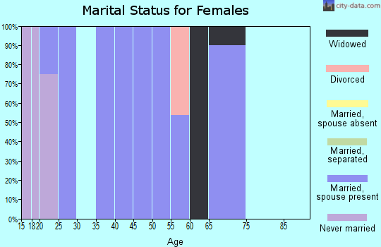 Zip code 06091 marital status for females
