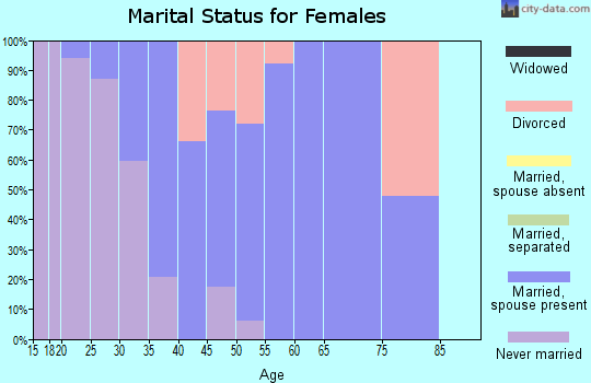 Zip code 06377 marital status for females