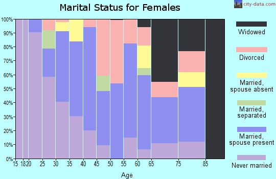 Zip code 06906 marital status for females