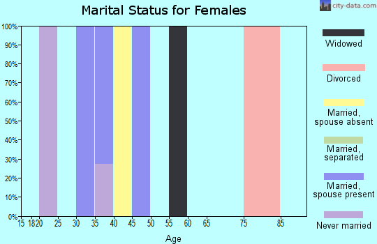 Zip code 08038 marital status for females
