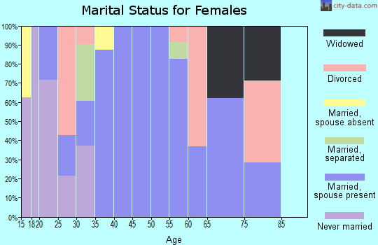 Zip code 08041 marital status for females