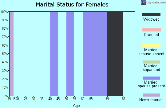 Zip code 08042 marital status for females