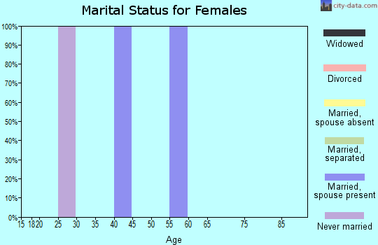 Zip code 08073 marital status for females