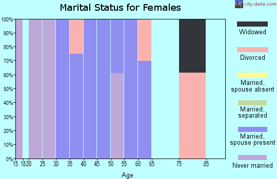 Zip code 08340 marital status for females