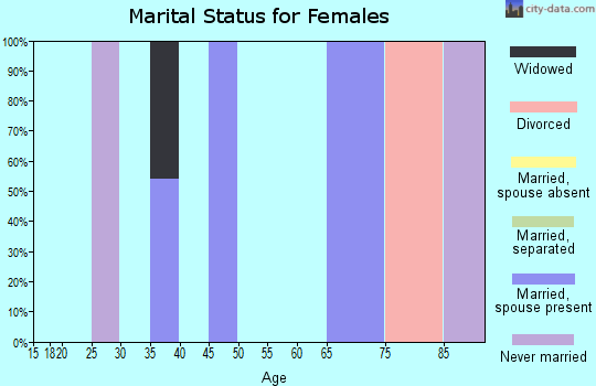 Zip code 08528 marital status for females