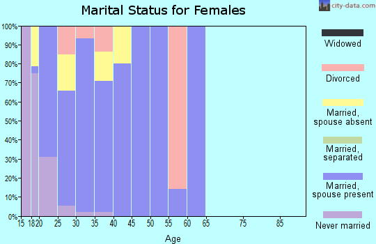 Zip code 08641 marital status for females