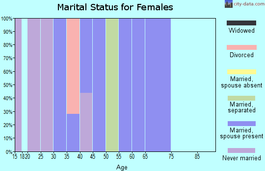 Zip code 10535 marital status for females
