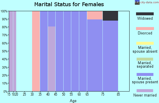 Zip code 10597 marital status for females