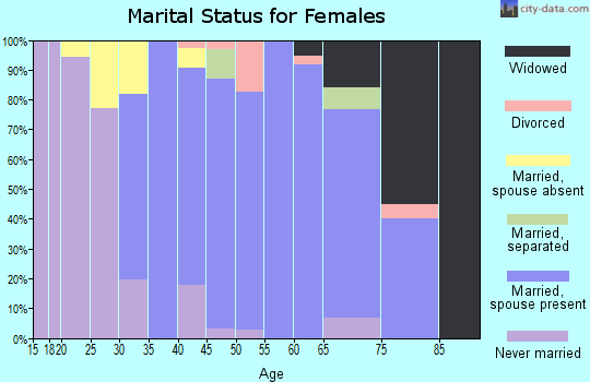 Zip code 10913 marital status for females