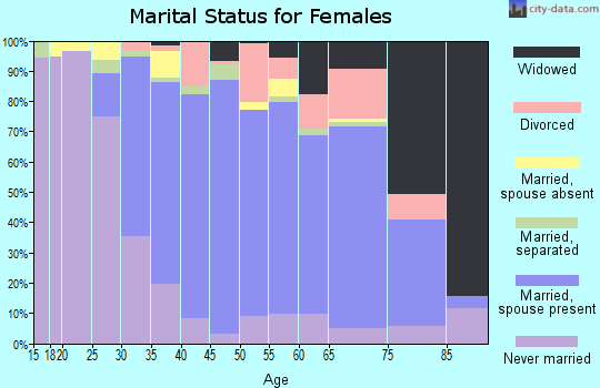 Zip code 10980 marital status for females