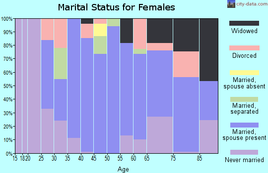 Zip code 10994 marital status for females